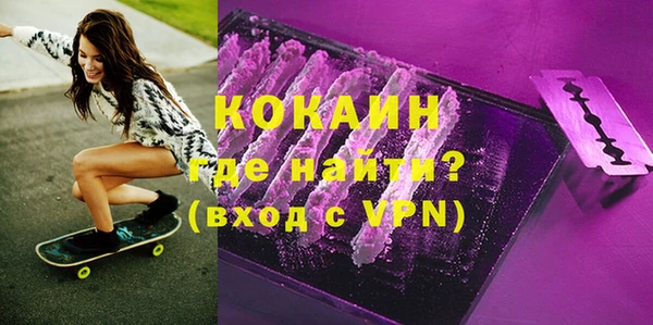 ешки Алексин