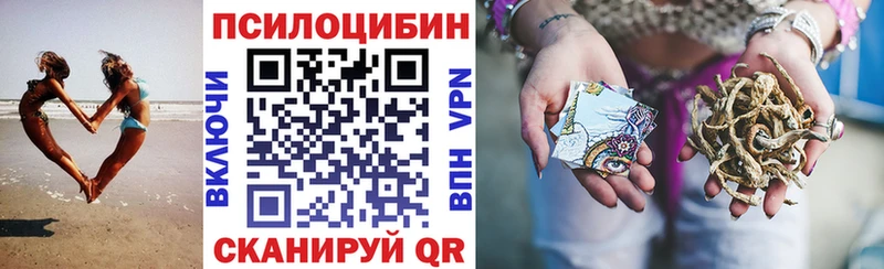 закладка  Богородицк  Галлюциногенные грибы мицелий 